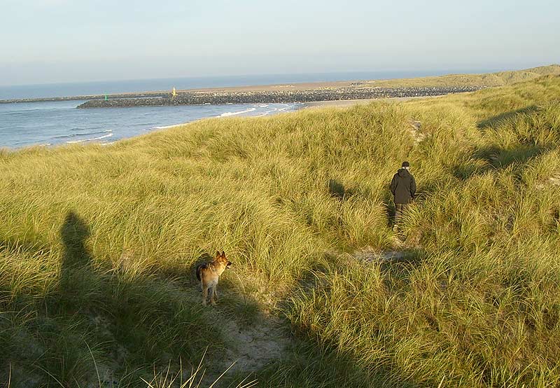 Lars og hund i klitterne